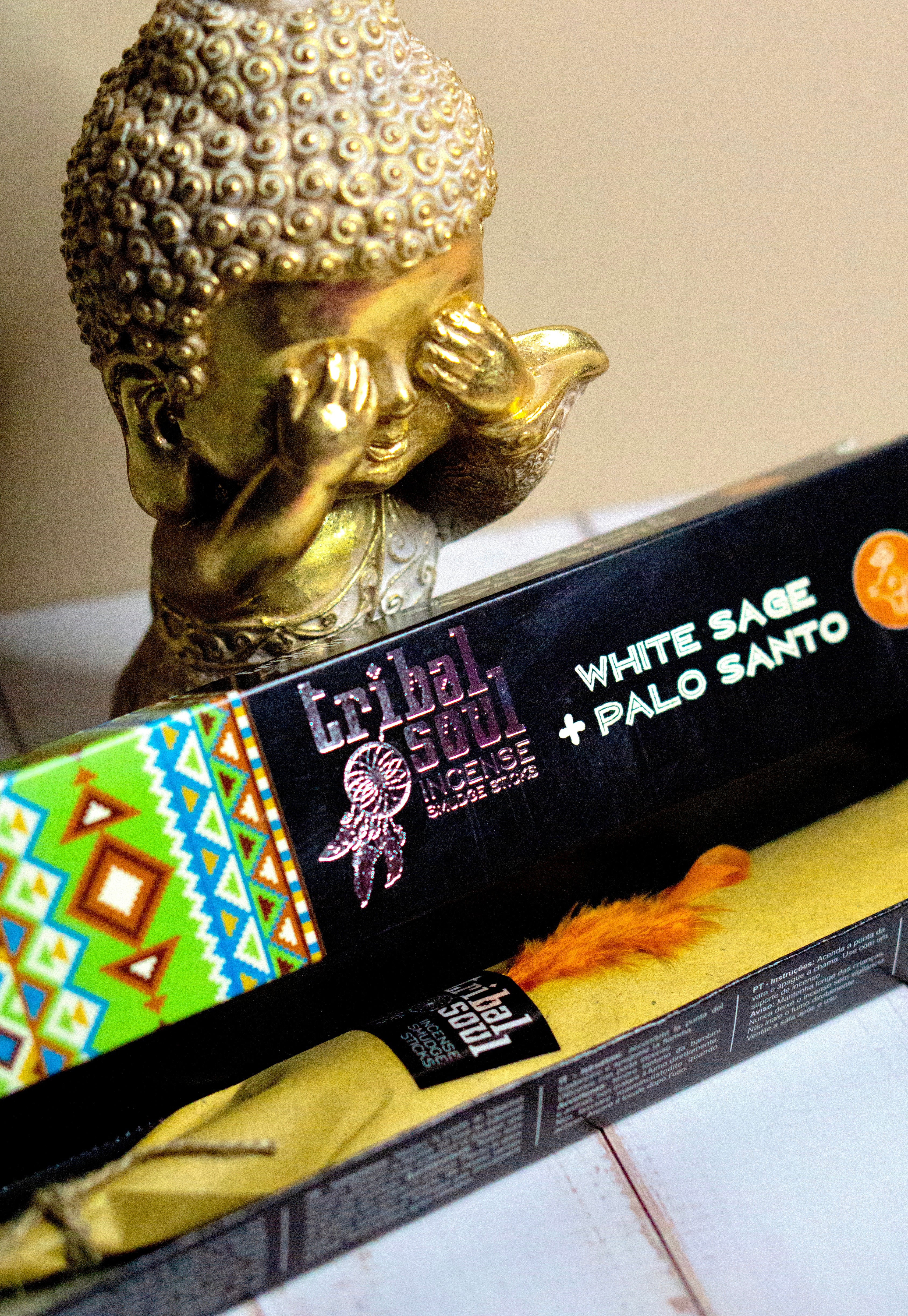 Encens Sauge blanche & Palo Santo